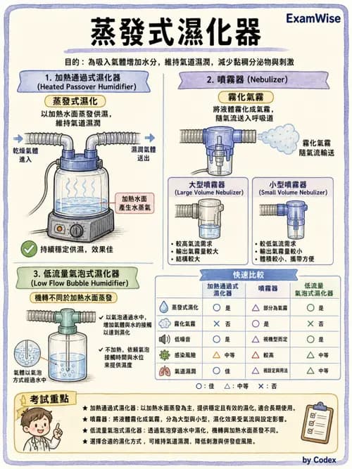 呼吸治療師 - 濕氣與霧氣治療 - AI 圖文解析預覽