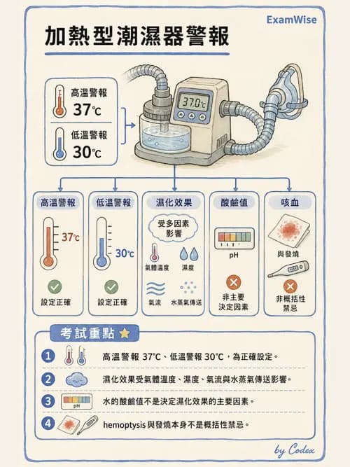 呼吸治療師 - 濕氣與霧氣治療 - AI 圖文解析預覽