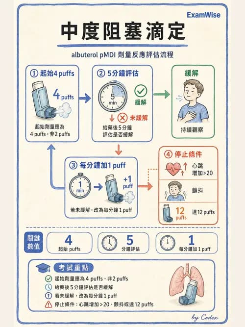 呼吸治療師 - 濕氣與霧氣治療 - AI 圖文解析預覽