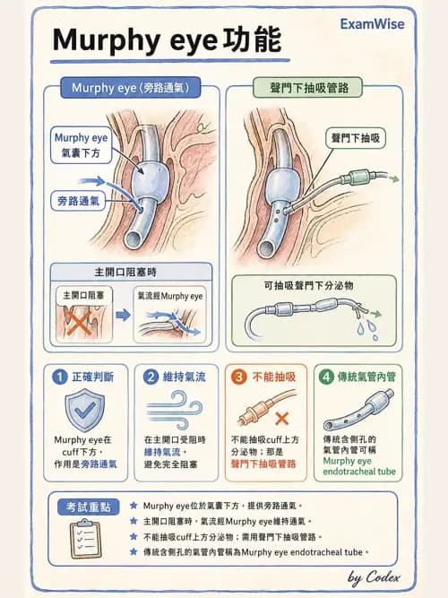 呼吸治療師 - 人工氣道處置 - AI 圖文解析預覽