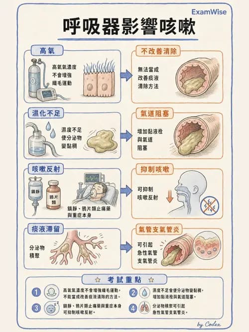 呼吸治療師 - 痰液清除與擴張治療 - AI 圖文解析預覽