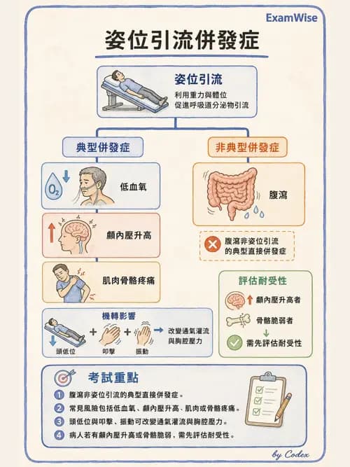 呼吸治療師 - 痰液清除與擴張治療 - AI 圖文解析預覽