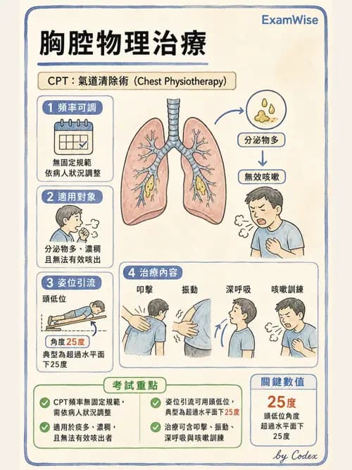 呼吸治療師 - 痰液清除與擴張治療 - AI 圖文解析預覽