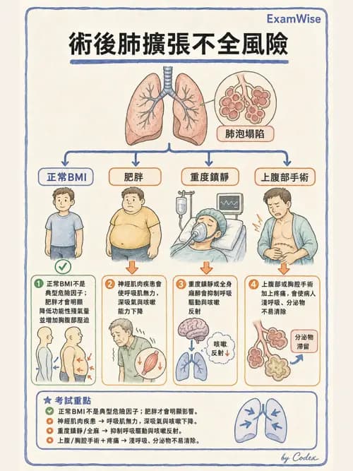 呼吸治療師 - 痰液清除與擴張治療 - AI 圖文解析預覽
