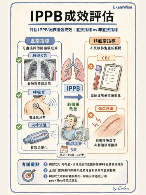 呼吸治療師 - 痰液清除與擴張治療 - AI 圖文解析預覽