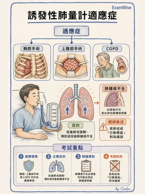 呼吸治療師 - 痰液清除與擴張治療 - AI 圖文解析預覽