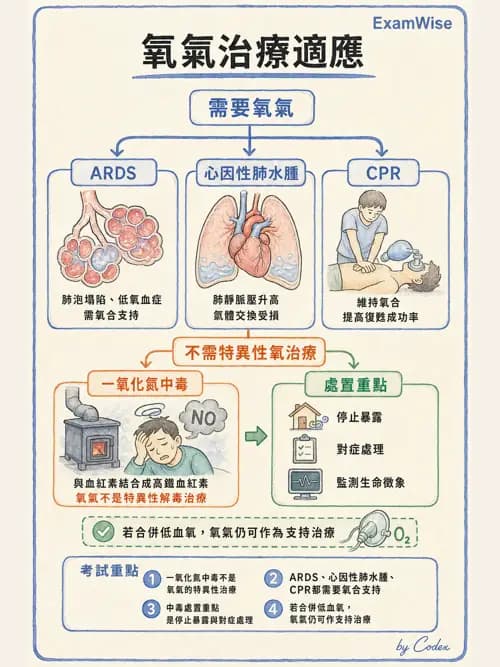 呼吸治療師 - 氣體輸送系統與氧氣治療 - AI 圖文解析預覽