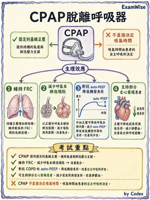 呼吸治療師 - 長期呼吸照護 - AI 圖文解析預覽