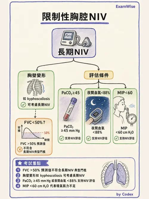 呼吸治療師 - 長期呼吸照護 - AI 圖文解析預覽