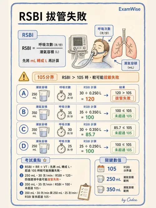呼吸治療師 - 長期呼吸照護 - AI 圖文解析預覽