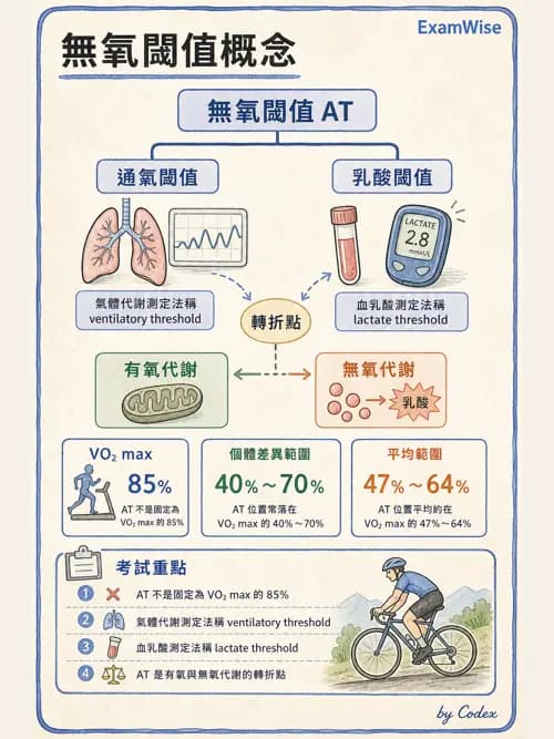 呼吸治療師 - 心血管評估與實驗室檢查 - AI 圖文解析預覽