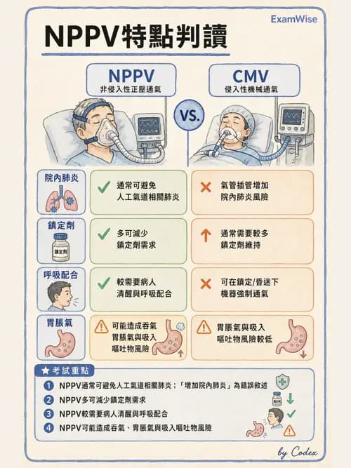 呼吸治療師 - 長期呼吸照護 - AI 圖文解析預覽