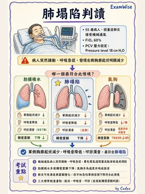 呼吸治療師 - 呼吸治療臨床作業與身體評估 - AI 圖文解析預覽