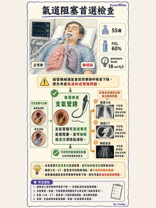 呼吸治療師 - 呼吸治療臨床作業與身體評估 - AI 圖文解析預覽