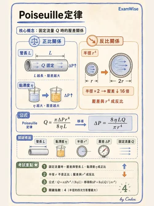 呼吸治療師 - 氣體物理學 - AI 圖文解析預覽