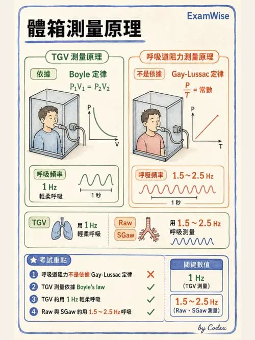 呼吸治療師 - 呼吸機械力學監測 - AI 圖文解析預覽