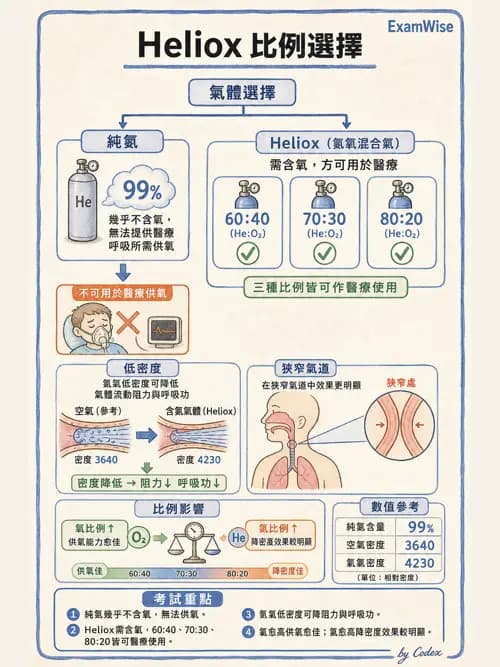 呼吸治療師 - 醫療氣體製造與儲存 - AI 圖文解析預覽
