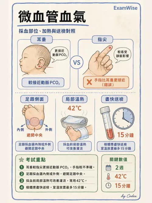呼吸治療師 - 動脈血氣體分析設備 - AI 圖文解析預覽