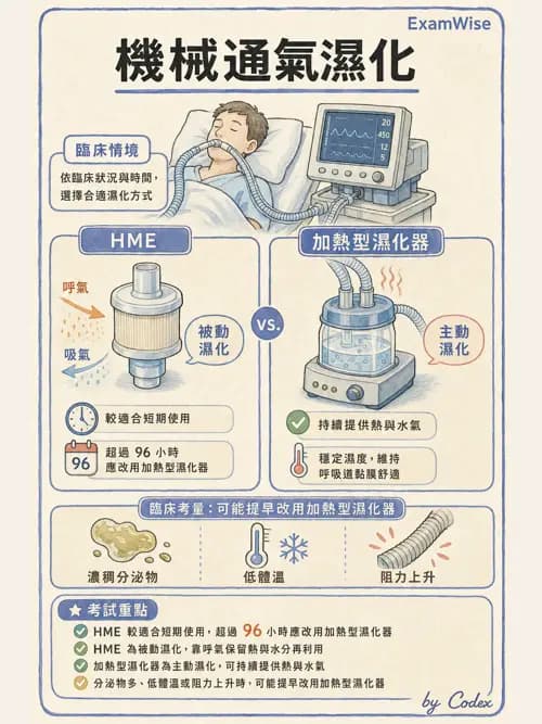 呼吸治療師 - 濕氣治療設備 - AI 圖文解析預覽