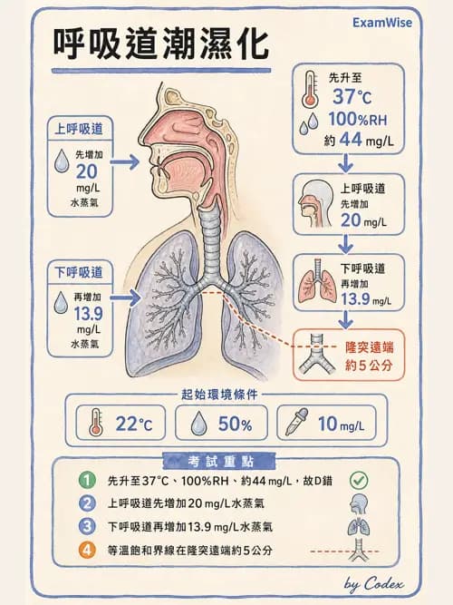 呼吸治療師 - 濕氣治療設備 - AI 圖文解析預覽