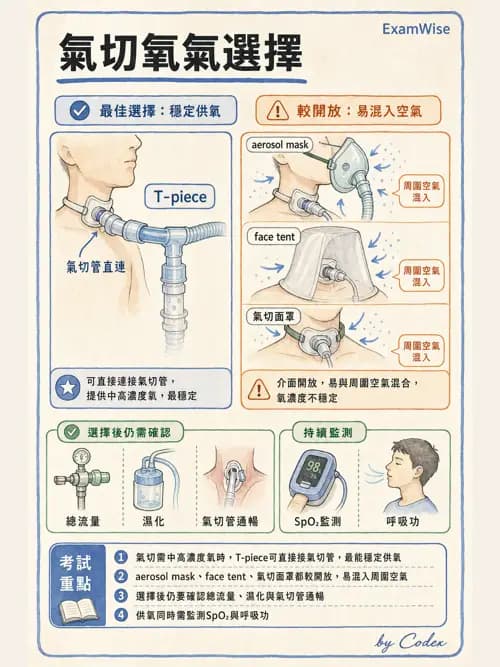 呼吸治療師 - 濕氣治療設備 - AI 圖文解析預覽