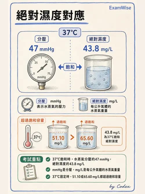 呼吸治療師 - 濕氣治療設備 - AI 圖文解析預覽