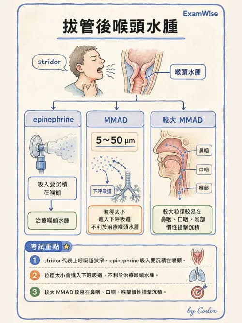 呼吸治療師 - 吸入性藥物噴霧設備 - AI 圖文解析預覽