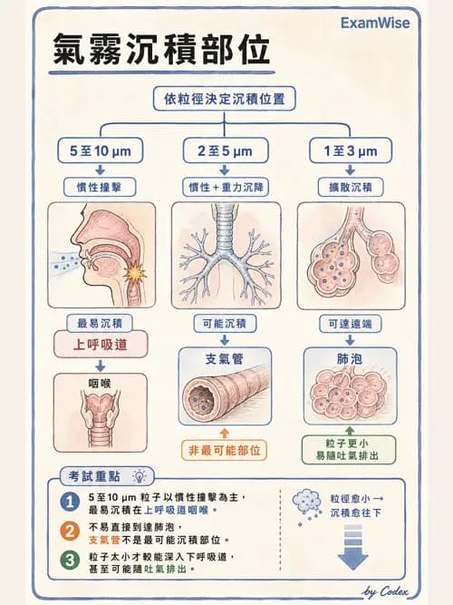 呼吸治療師 - 吸入性藥物噴霧設備 - AI 圖文解析預覽