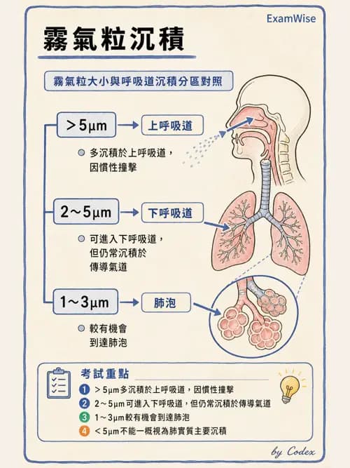 呼吸治療師 - 吸入性藥物噴霧設備 - AI 圖文解析預覽