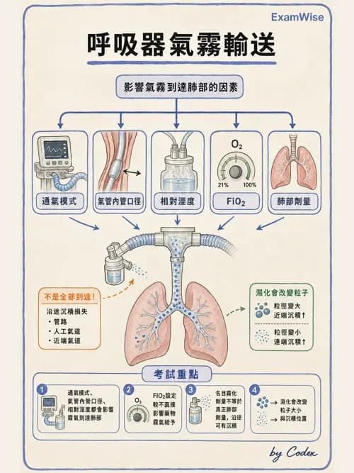 呼吸治療師 - 吸入性藥物噴霧設備 - AI 圖文解析預覽