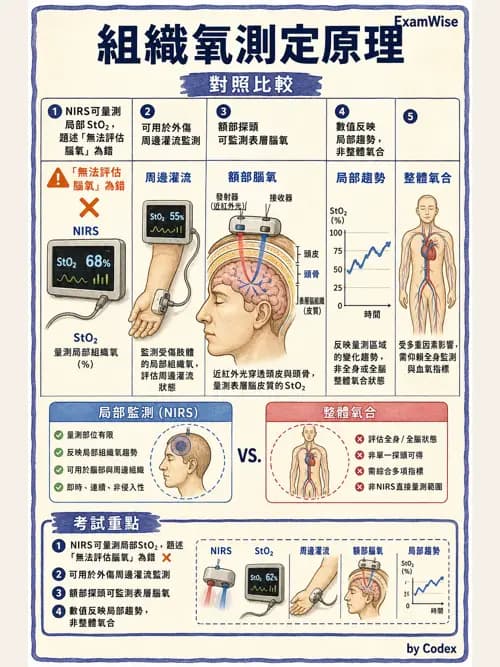 呼吸治療師 - 非侵入性呼吸監測設備 - AI 圖文解析預覽