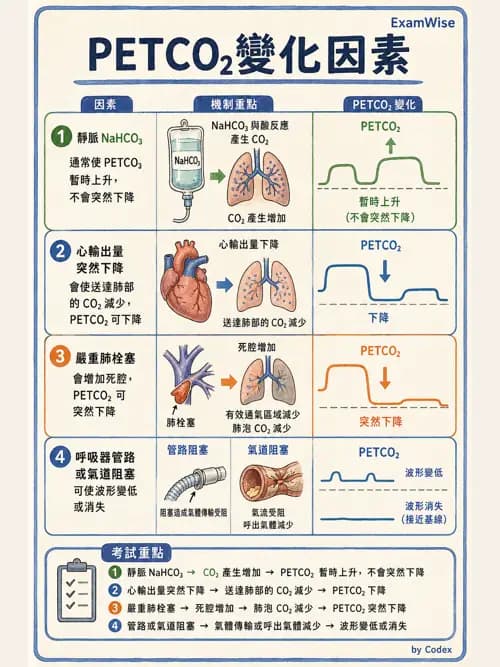 呼吸治療師 - 非侵入性呼吸監測設備 - AI 圖文解析預覽