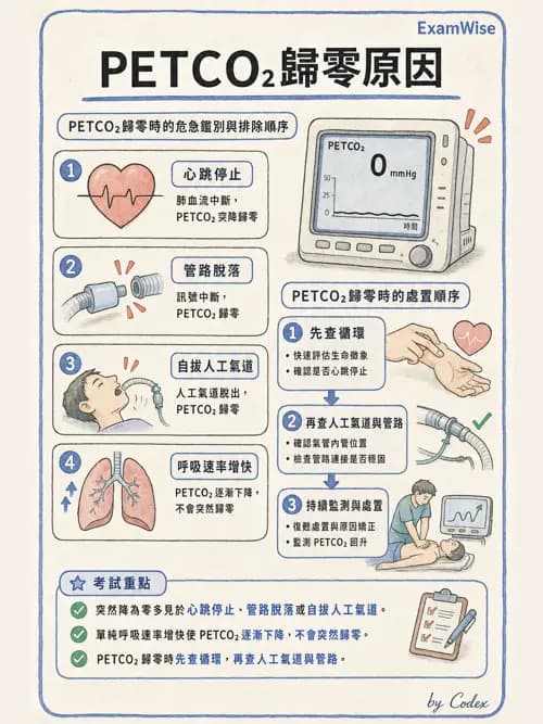 呼吸治療師 - 非侵入性呼吸監測設備 - AI 圖文解析預覽