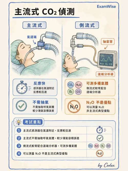呼吸治療師 - 非侵入性呼吸監測設備 - AI 圖文解析預覽