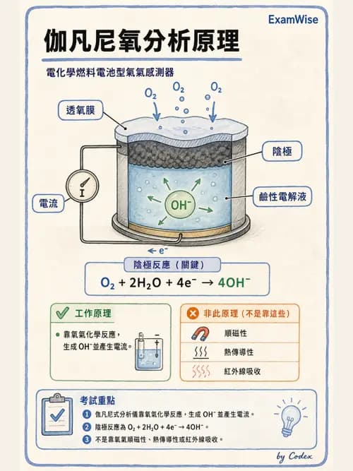呼吸治療師 - 非侵入性呼吸監測設備 - AI 圖文解析預覽