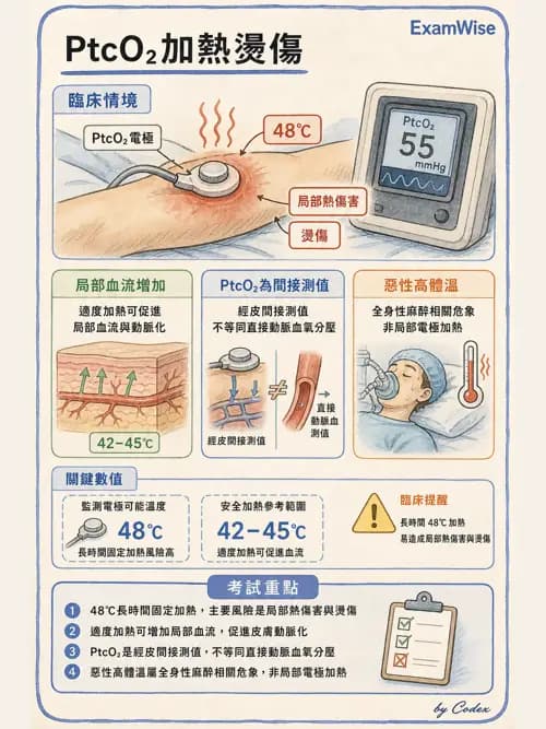 呼吸治療師 - 非侵入性呼吸監測設備 - AI 圖文解析預覽