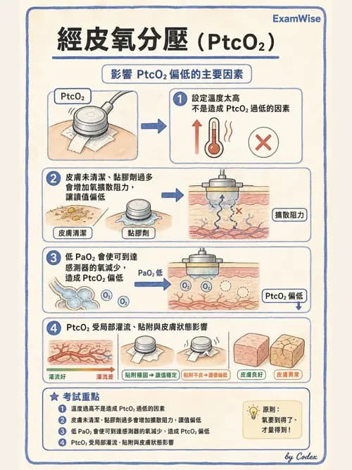 呼吸治療師 - 非侵入性呼吸監測設備 - AI 圖文解析預覽