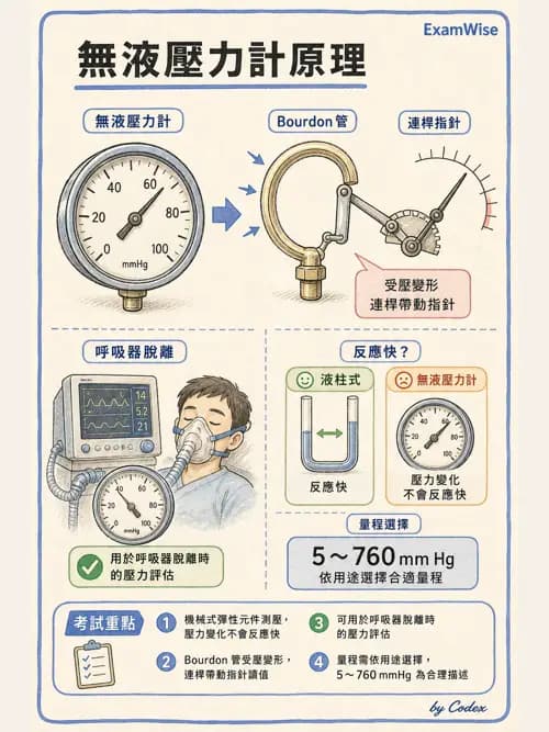 呼吸治療師 - 呼吸機械力學監測 - AI 圖文解析預覽