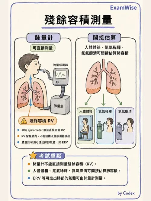 呼吸治療師 - 呼吸機械力學監測 - AI 圖文解析預覽