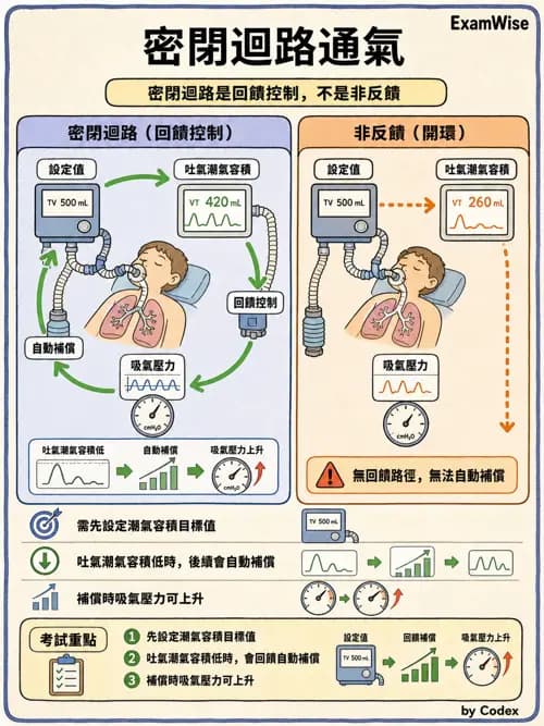 呼吸治療師 - 呼吸機械力學監測 - AI 圖文解析預覽
