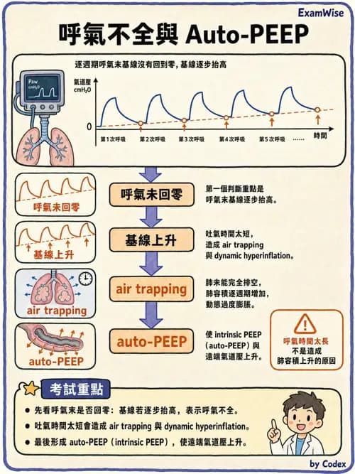 呼吸治療師 - 呼吸機械力學監測 - AI 圖文解析預覽