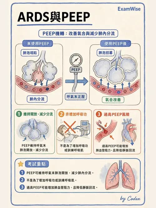 呼吸治療師 - 呼吸機械力學監測 - AI 圖文解析預覽