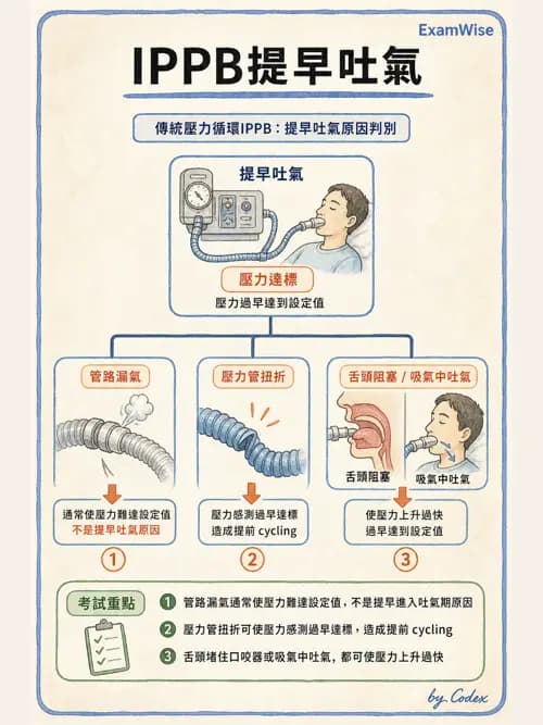 呼吸治療師 - 胸部擴張與物理治療設備 - AI 圖文解析預覽