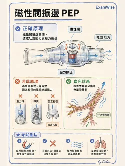 呼吸治療師 - 胸部擴張與物理治療設備 - AI 圖文解析預覽