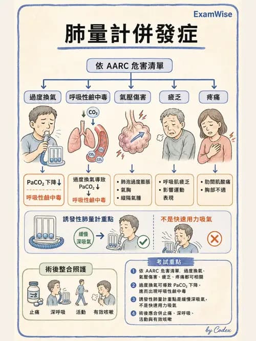 呼吸治療師 - 胸部擴張與物理治療設備 - AI 圖文解析預覽