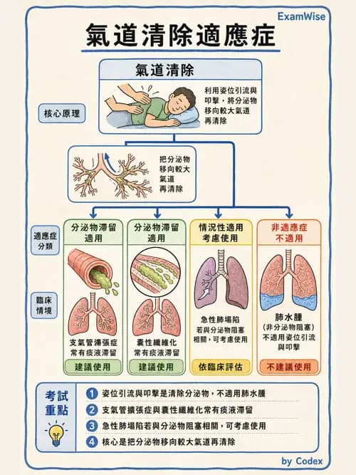呼吸治療師 - 胸部擴張與物理治療設備 - AI 圖文解析預覽