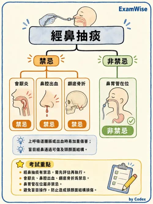 呼吸治療師 - 呼吸道照護與抽痰設備 - AI 圖文解析預覽
