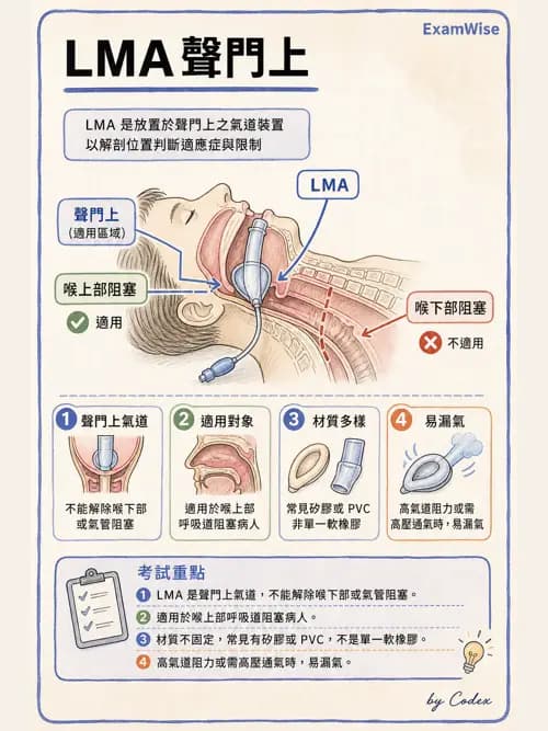 呼吸治療師 - 呼吸道照護與抽痰設備 - AI 圖文解析預覽