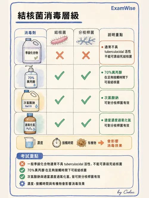 呼吸治療師 - 呼吸照護設備消毒 - AI 圖文解析預覽