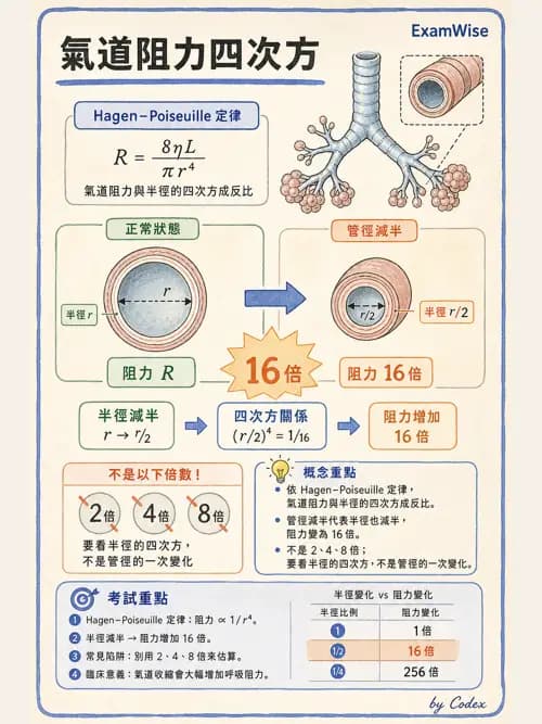 呼吸治療師 - 機械通氣生理 - AI 圖文解析預覽